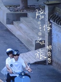 陪伴之旅