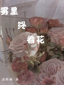霧里終看花