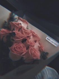 我那两个同班同学