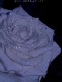 TF三代：血色梦游