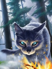 猫武士（族群希望）