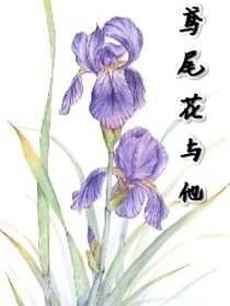 鸢尾花与他