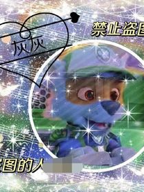 汪汪新成员