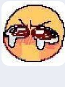 我的十一
