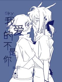 Sky：我爱的不是你
