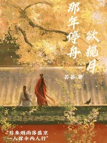 那年停舟欲攬月