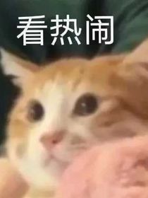 凹凸：过去时光