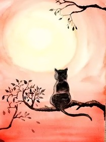 只有黑猫知道的过往