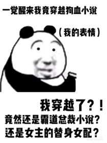 一覺醒來我竟穿越狗血小說