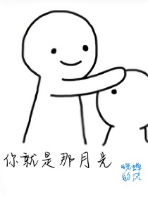 你就是那月光