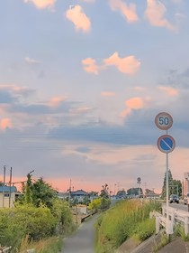 盛了个夏