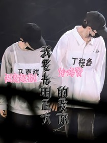 我要正大光明的爱你
