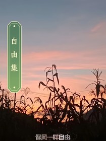 自由集……