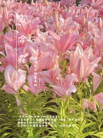百合花束