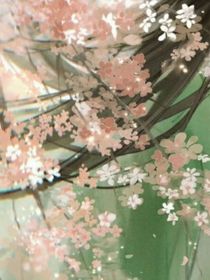 葉羅麗之在線(xiàn)躺平
