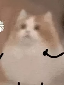 TNT：助理姐姐太帅了