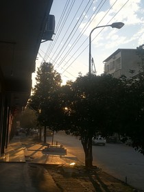 HP：槲寄生泛濫