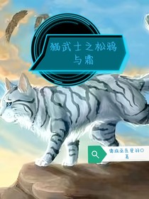 猫武士之松鸦与霜