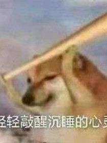 須臾寥寥寄憂情