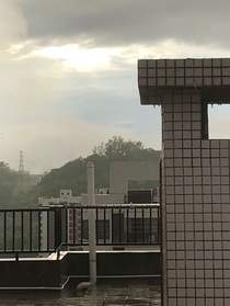 常青等松柏