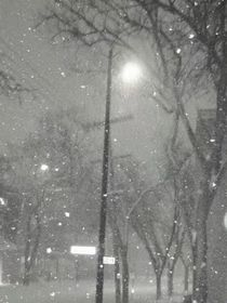 另一个时空的你……