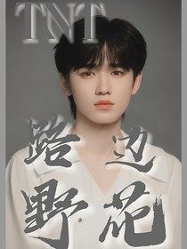 TNT：路邊野花