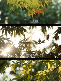 无答