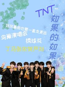 TNT如果的如果