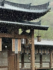 祝京好