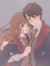 哈利赫敏的婚后生活