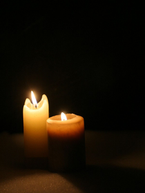 死了，但没有完全死