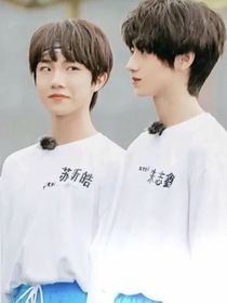 花落清柳