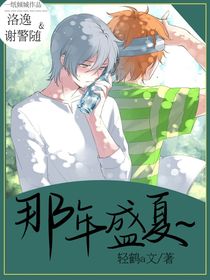 那年盛夏xjs-d729