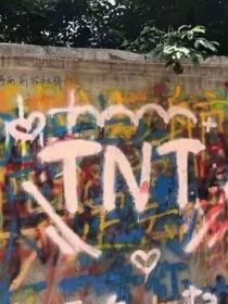 穿越：TNT：