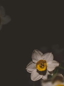 又見，春歸時(shí)節(jié)