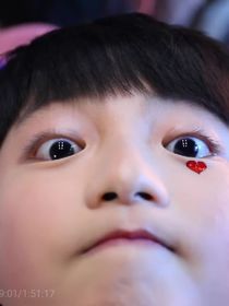 谁不想有一只奶团子
