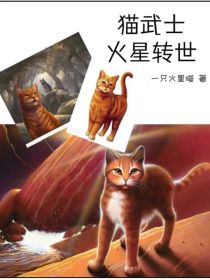 猫武士——火星的转世