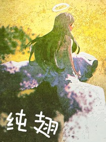 纯翅