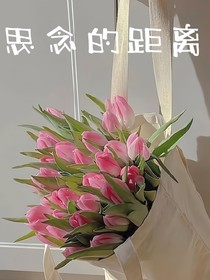 思念的距離