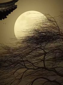 風(fēng)華錄——念白