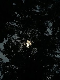 苦盡