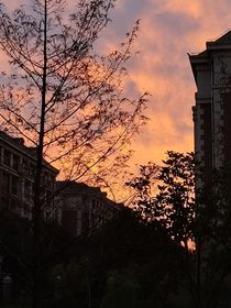 浮生若梦，与君重逢