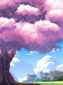 我看你像神仙