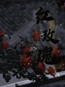 雨花半夏