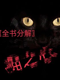 貓之心：全書(shū)分解