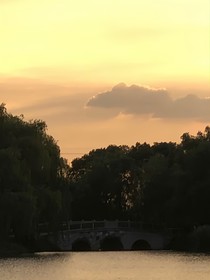晨曦cx
