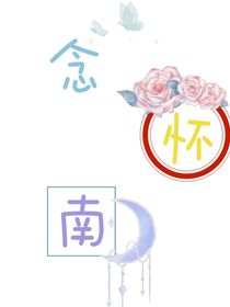 念怀南