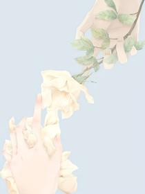 红玫瑰和白莲花