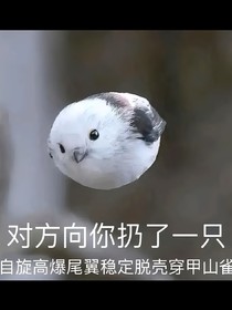 萬(wàn)匙的聊天室