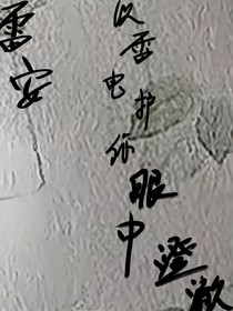 以雷電護你眼中澄澈